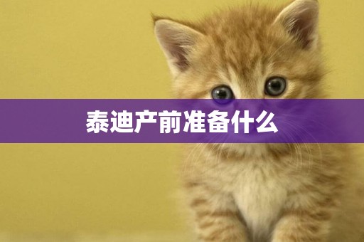 泰迪產前準備什么