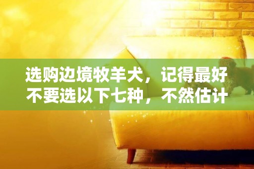 選購邊境牧羊犬，記得最好不要選以下七種，不然估計你會被坑慘 