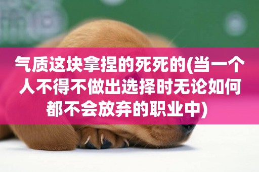 氣質這塊拿捏的死死的(當一個人不得不做出選擇時無論如何都不會放棄的職業中) 