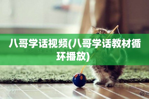 八哥學話視頻(八哥學話教材循環播放) 