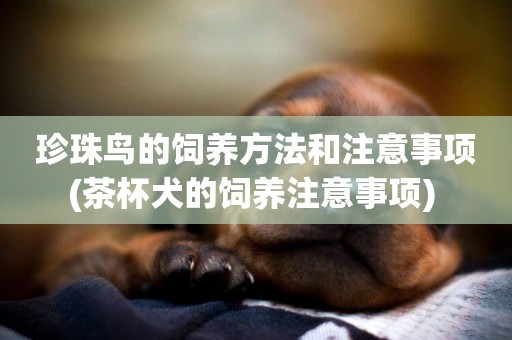 珍珠鳥的飼養方法和注意事項(茶杯犬的飼養注意事項) 