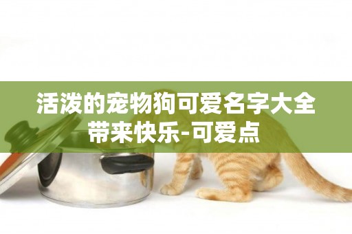 活潑的寵物狗可愛名字大全帶來快樂-可愛點 