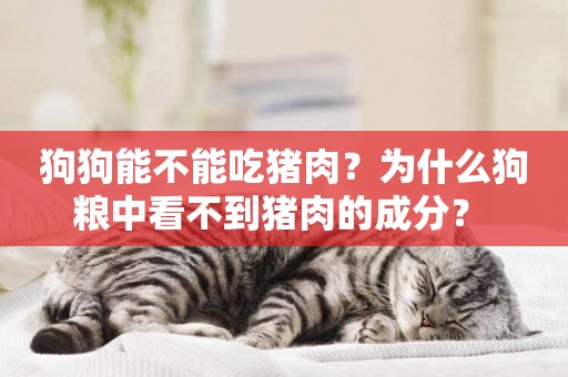 狗狗能不能吃豬肉？為什么狗糧中看不到豬肉的成分？ 