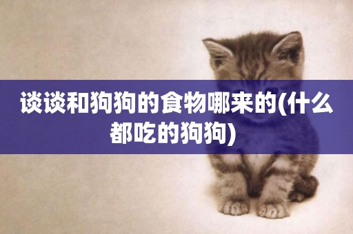 談談和狗狗的食物哪來的(什么都吃的狗狗) 