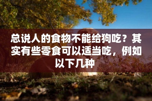 總說人的食物不能給狗吃？其實有些零食可以適當吃，例如以下幾種 