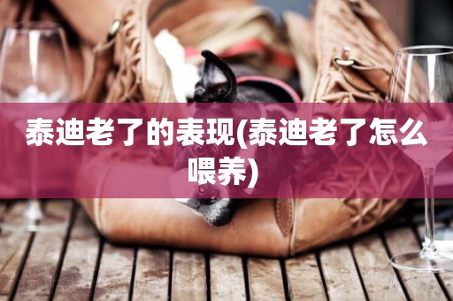 泰迪老了的表現(泰迪老了怎么喂養) 