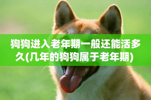 狗狗進入老年期一般還能活多久(幾年的狗狗屬于老年期) 