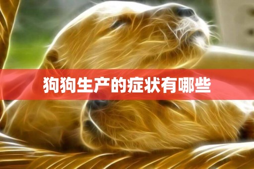 狗狗生產的癥狀有哪些