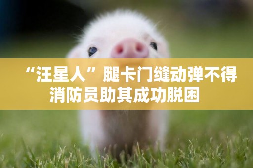 “汪星人”腿卡門縫動彈不得 消防員助其成功脫困 
