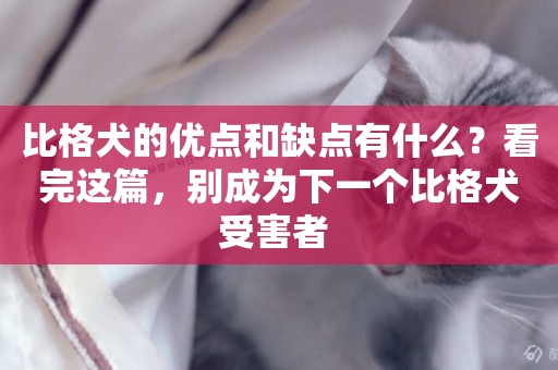 比格犬的優點和缺點有什么？看完這篇，別成為下一個比格犬受害者 