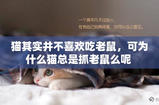 貓其實并不喜歡吃老鼠，可為什么貓總是抓老鼠么呢 