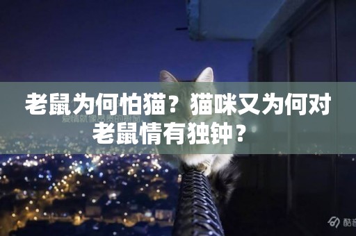 老鼠為何怕貓？貓咪又為何對老鼠情有獨鐘？ 