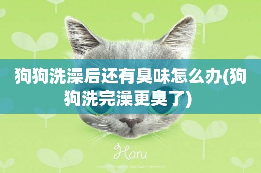 狗狗洗澡后還有臭味怎么辦(狗狗洗完澡更臭了) 