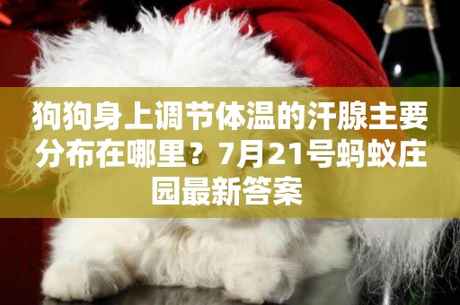 狗狗身上調節體溫的汗腺主要分布在哪里？7月21號螞蟻莊園最新答案 