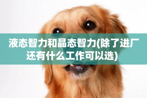 液態智力和晶態智力(除了進廠還有什么工作可以選) 