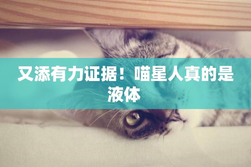 又添有力證據！喵星人真的是液體 