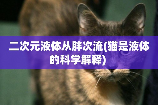 二次元液體從胖次流(貓是液體的科學解釋) 