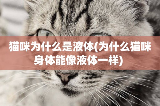 貓咪為什么是液體(為什么貓咪身體能像液體一樣) 