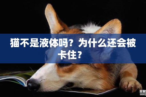 貓不是液體嗎？為什么還會被卡住？ 