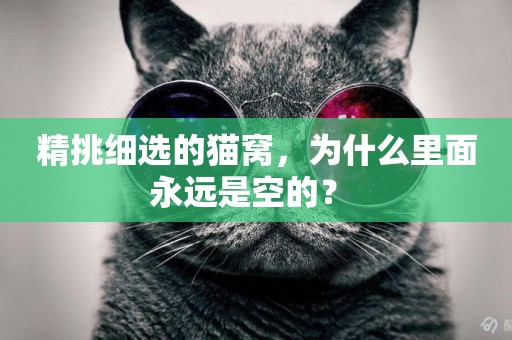 精挑細選的貓窩，為什么里面永遠是空的？ 