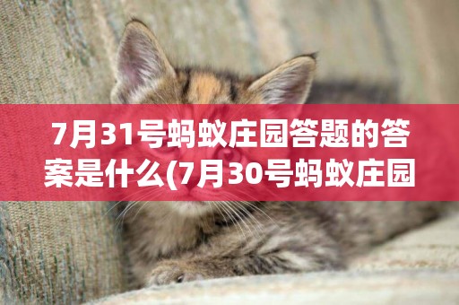 7月31號螞蟻莊園答題的答案是什么(7月30號螞蟻莊園答題答案) 