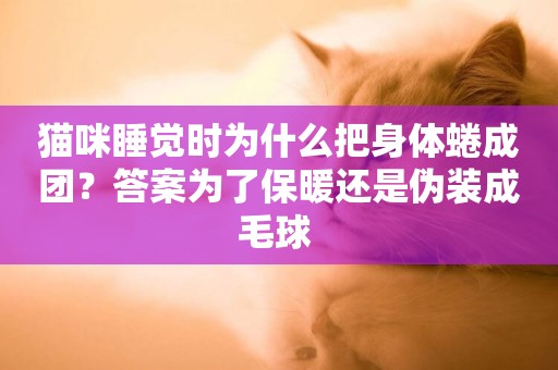 貓咪睡覺時為什么把身體蜷成團？答案為了保暖還是偽裝成毛球 