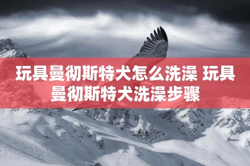 玩具曼徹斯特犬怎么洗澡 玩具曼徹斯特犬洗澡步驟