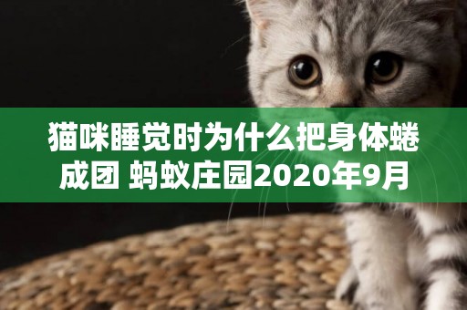貓咪睡覺時為什么把身體蜷成團 螞蟻莊園2020年9月22日答案 