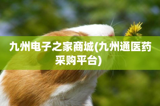 九州電子之家商城(九州通醫藥采購平臺) 