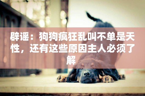 辟謠：狗狗瘋狂亂叫不單是天性，還有這些原因主人必須了解 