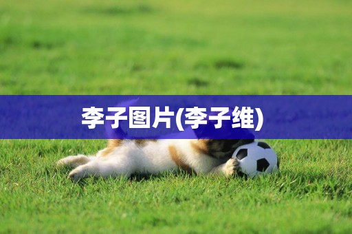 李子圖片(李子維) 