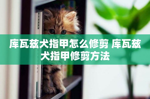 庫瓦茲犬指甲怎么修剪 庫瓦茲犬指甲修剪方法