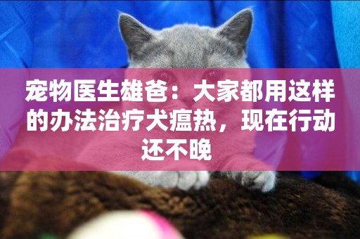 寵物醫生雄爸：大家都用這樣的辦法治療犬瘟熱，現在行動還不晚 