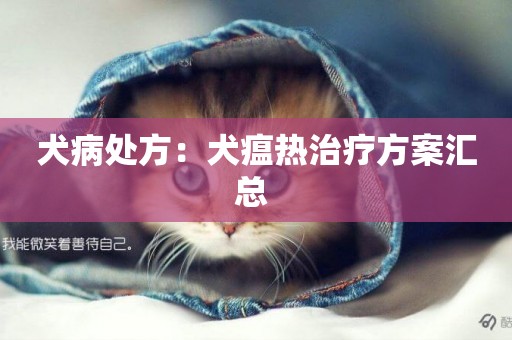 犬病處方：犬瘟熱治療方案匯總 
