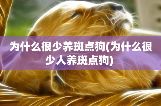 為什么很少養斑點狗(為什么很少人養斑點狗) 