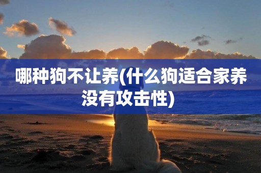 哪種狗不讓養(什么狗適合家養沒有攻擊性) 