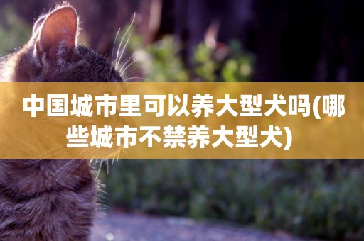 中國城市里可以養大型犬嗎(哪些城市不禁養大型犬) 