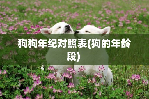 狗狗年紀對照表(狗的年齡段) 