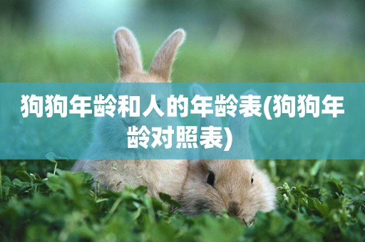 狗狗年齡和人的年齡表(狗狗年齡對照表) 