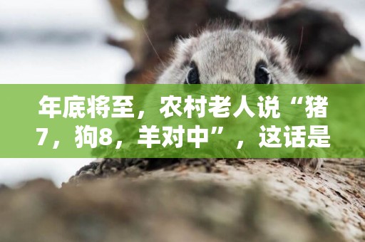 年底將至，農村老人說“豬7，狗8，羊對中”，這話是啥意思呢？ 