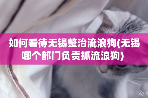 如何看待無錫整治流浪狗(無錫哪個部門負責抓流浪狗) 