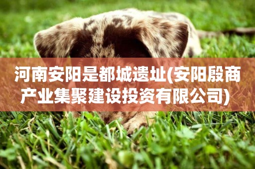 河南安陽是都城遺址(安陽殷商產業集聚建設投資有限公司) 