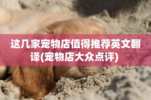 這幾家寵物店值得推薦英文翻譯(寵物店大眾點評) 