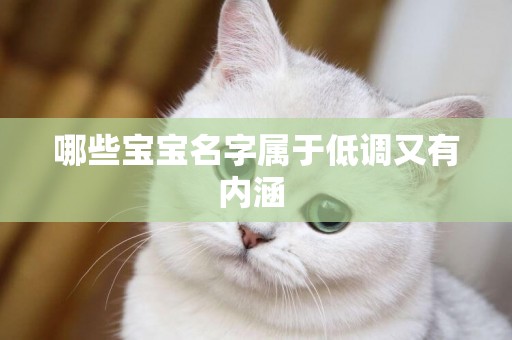 哪些寶寶名字屬于低調又有內涵 