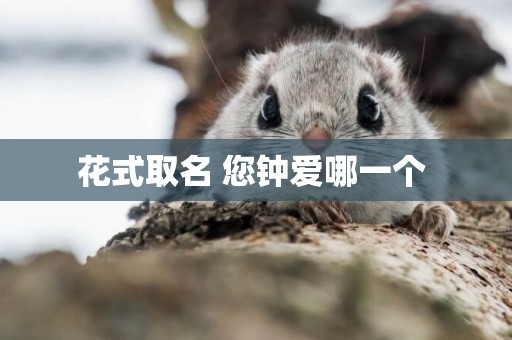 花式取名 您鐘愛哪一個 