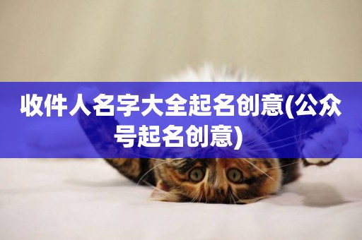 收件人名字大全起名創意(公眾號起名創意) 