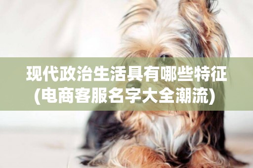 現代政治生活具有哪些特征(電商客服名字大全潮流) 