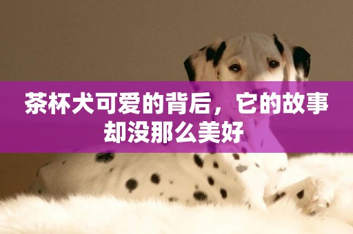 茶杯犬可愛的背后，它的故事卻沒那么美好 