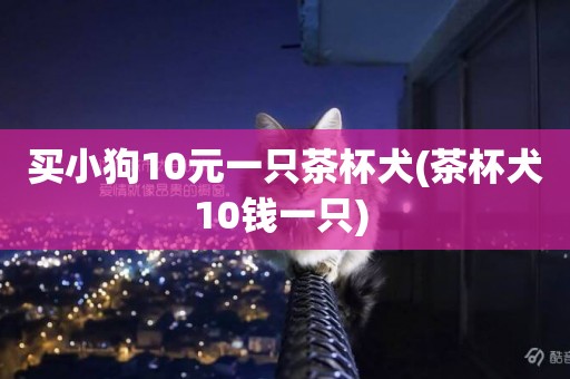 買小狗10元一只茶杯犬(茶杯犬10錢一只) 