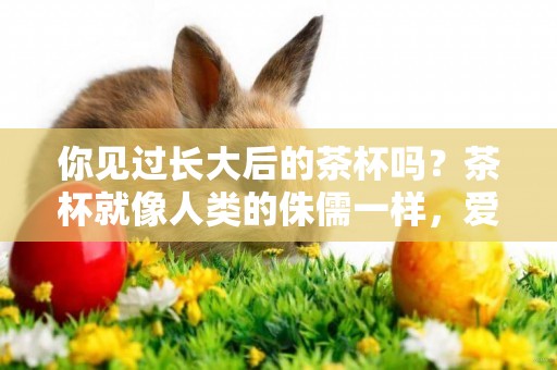 你見過長大后的茶杯嗎？茶杯就像人類的侏儒一樣，愛它就別傷害它 